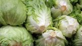 Insalata contaminata, prime vittime negli Usa: cos’è la ciclosporiasi