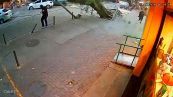 Albero crolla su un passante a Rio: salvo per pochi centimetri