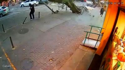 Albero crolla su un passante a Rio: salvo per pochi centimetri