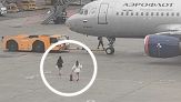 Mamma ho perso l'aereo: l'inseguimento in pista è virale