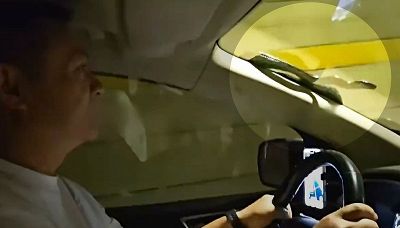 Brivido al volante: sul parabrezza spunta un serpente
