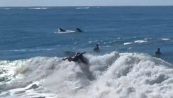 Stella del surf in azione, dietro di lei spunta il gigante del mare