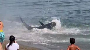 Paura in mare fra i bagnanti