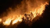 Incendi estivi vicino a case e parchi: cosa non si deve fare mai