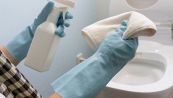Aceto bianco nel WC, il trucco per una pulizia perfetta