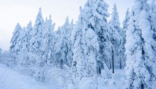 El Niño complica le previsioni sull'inverno, gelo e rischio blackout