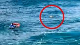 Capitano-eroe si tuffa nel mare agitato per salvare un turista