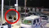 S'avvicina troppo al cucciolo, mamma orsa lo insegue fino al ristorante!