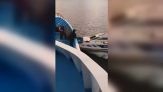 Il pilota s'addormenta: motoscafo si schianta su traghetto