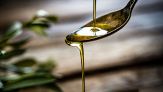 Olio nuovo 2026, quanto costerà e quando conviene comprarlo