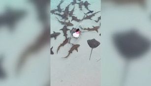 La tintarella' è da brividi