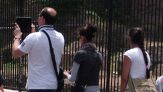 Trappola del selfie, come funziona la truffa che fa sparire borse e valigie