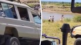 Paura per i turisti, finiscono in un fiume pieno di coccodrilli