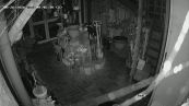 Statue a terra e caos: è caccia al 'fantasma' del negozio