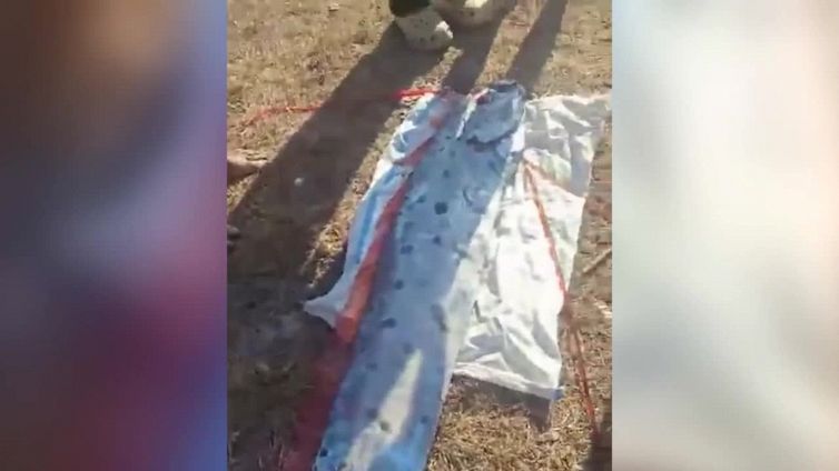 Trovato spiaggiato il 'pesce dell'Apocalisse': disastro in arrivo?