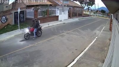 L'eroico cane sventa la rapina e salva il suo padrone