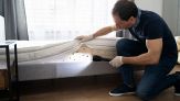 Cimici da letto, dove si nasconde il nido e come eliminarle