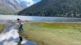 Prova a saltare il ruscello ma ci ripensa all'ultimo: finisce in acqua