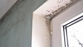 Muffa in casa: i segnali da riconoscere per prevenirla