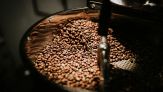 Il caffè può contenere l’ocratossina A: cos’è e perché fa male alla salute