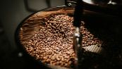 Il caffè può contenere l’ocratossina A: cos’è e perché fa male alla salute