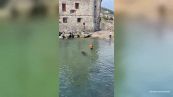 Paura nel Mar Ligure: s'avvicina al bagnante, sembra uno squalo