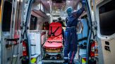 Virus Shamonda, primo caso sull’uomo: cos’è, i sintomi e come si trasmette