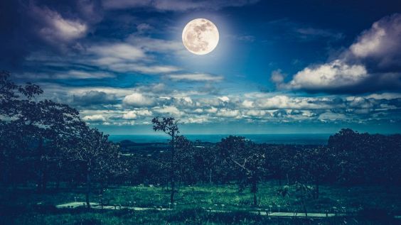 Luna Piena del Cervo (o del Fulmine): gli effetti sull'Oroscopo