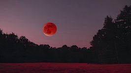 Super Luna del Cacciatore o del Sangue: simbologia e cosa aspettarci, segno per segno