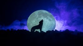 La luna delle Lunghe Notti: la magia della Luna Piena del 15 dicembre