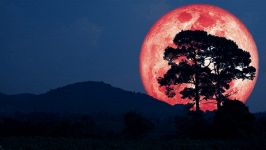 Luna Piena di Primavera o del Verme, una notte in bilico tra ordine e caos
