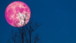 La Luna Rosa e il potere delle relazioni