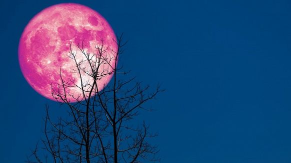 La Luna Rosa e il potere delle relazioni