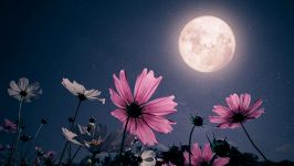 Luna Piena dei Fiori: la rivoluzione dell’anima