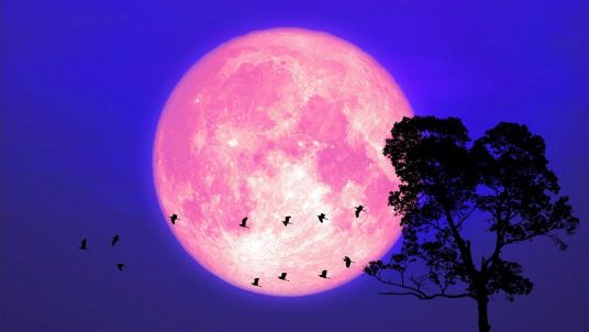 La Luna delle Fragole: un plenilunio di verità e ispirazione