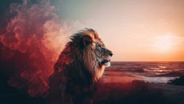 Il Sole entra in Leone: inizia la Lion Season!