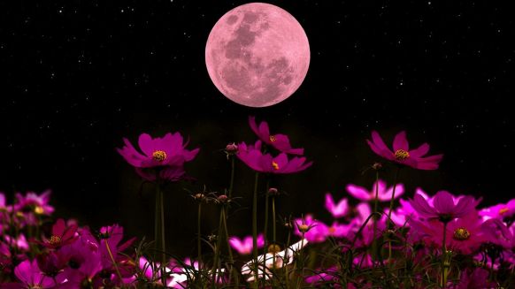 Il 1° maggio arriva la Luna Piena dei Fiori: il cielo promette grandi trasformazioni