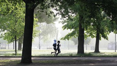 L'abitudine è una seconda natura