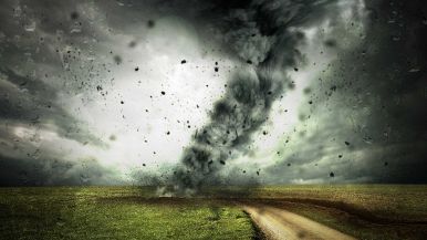 Chi semina vento raccoglie tempesta
