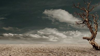 Chi muore giace, chi vive si dà pace