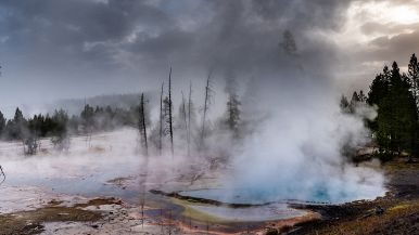 Cane scottato dall'acqua calda ha paura della fredda