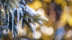 giorni-della-merla-inverno