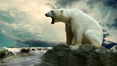 Perché fa freddo se c’è il riscaldamento globale?