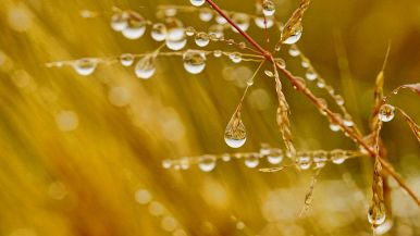 Acqua di maggio, parola di saggio