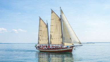 Bisogna navigar secondo il vento