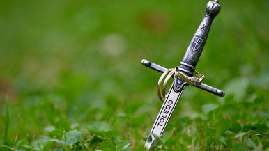 Chi di spada ferisce, di spada perisce