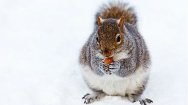 Si mangia per vivere, non si vive per mangiare