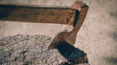 Sopra l’albero caduto ognuno corre a far legna