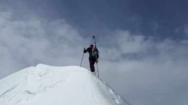La volontà tutto fa