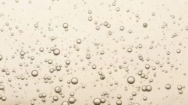 Perché lo champagne ha le bollicine?